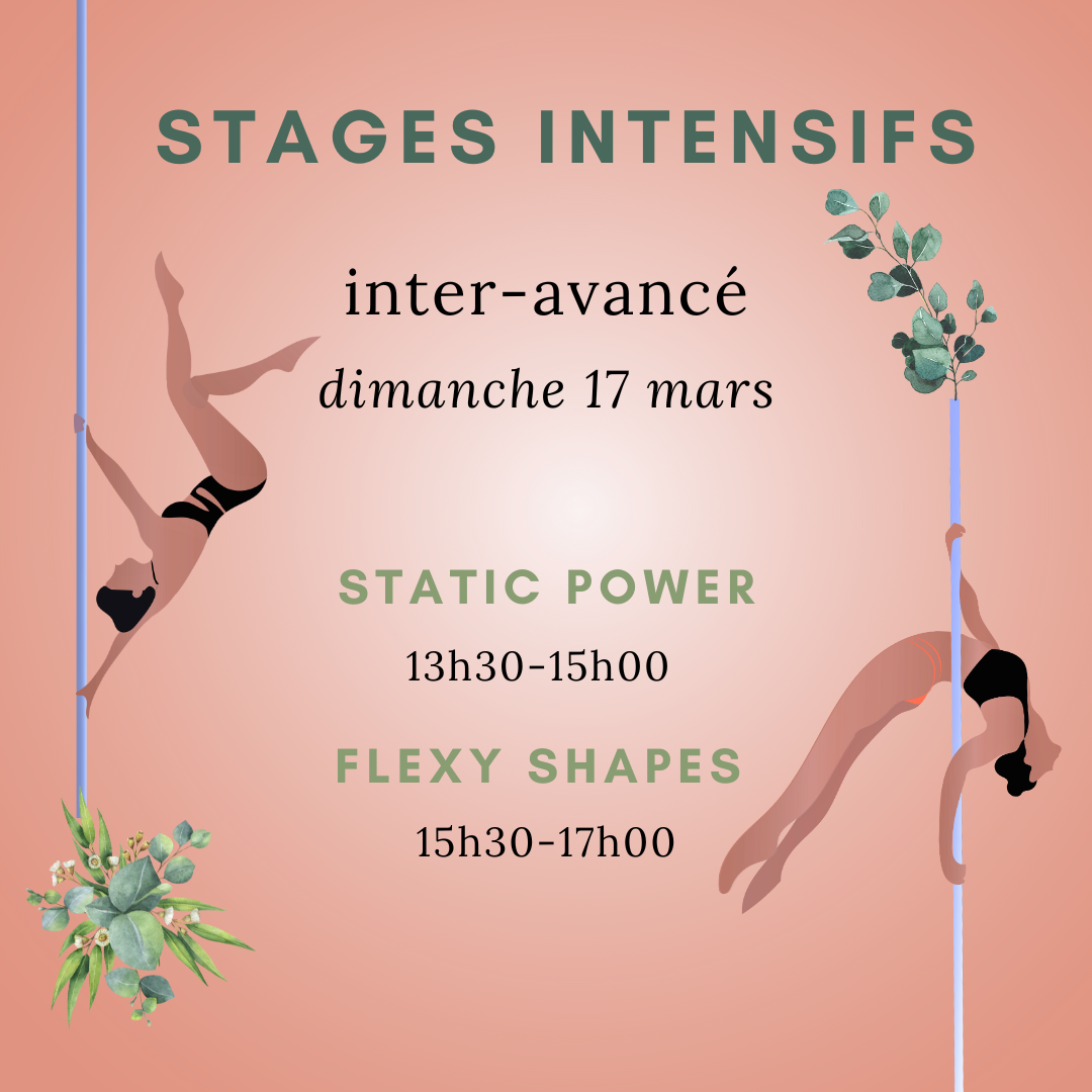 carre stage intensif inter avance pole dance 17 mars 24