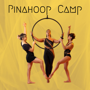 Pinahoop Camp stage cerceau aerien pinapole