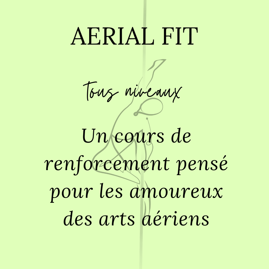 aerial fit pinapole cours renforcement musculaire arts aeriens
