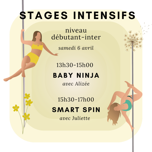stage intensif de pole dance de niveau débutant intermédiaire le samedi 6 avril à Pinapole, Grenoble