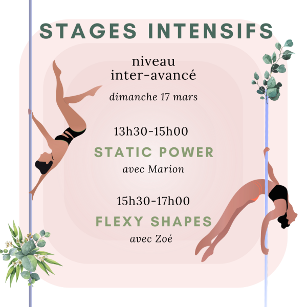 Pinapole stages intensifs inter avance 17mars2024